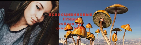 бутират Ростов