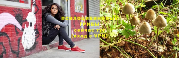 молекула духа Россошь