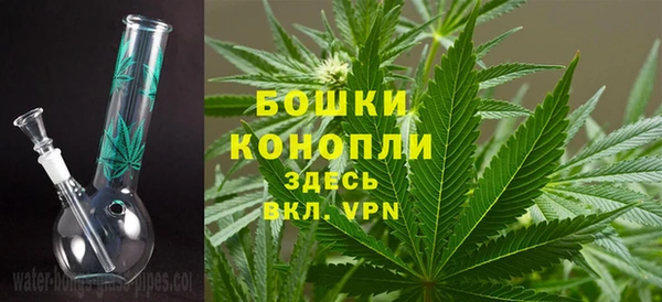 соль ск Рославль