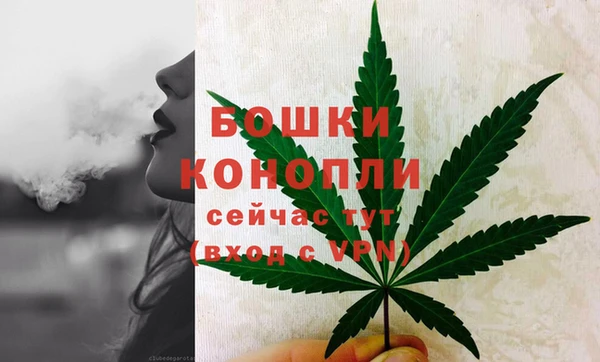 молекула духа Россошь